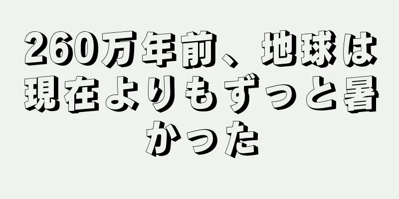 260万年前、地球は現在よりもずっと暑かった