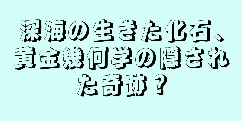 深海の生きた化石、黄金幾何学の隠された奇跡？