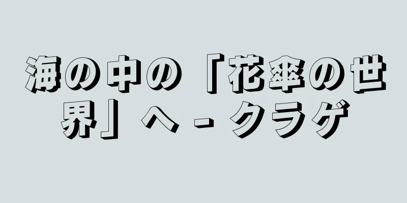 海の中の「花傘の世界」へ - クラゲ