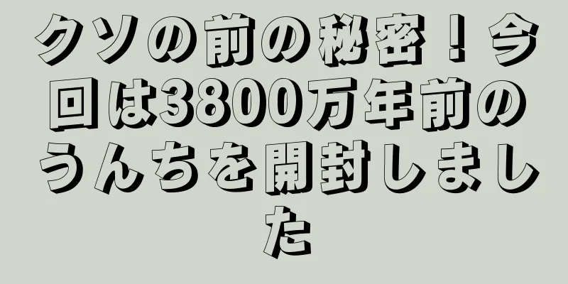 クソの前の秘密！今回は3800万年前のうんちを開封しました