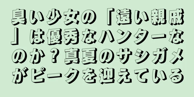 臭い少女の「遠い親戚」は優秀なハンターなのか？真夏のサシガメがピークを迎えている