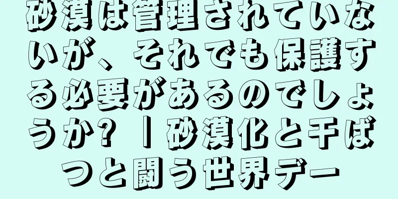 砂漠は管理されていないが、それでも保護する必要があるのでしょうか? ｜砂漠化と干ばつと闘う世界デー