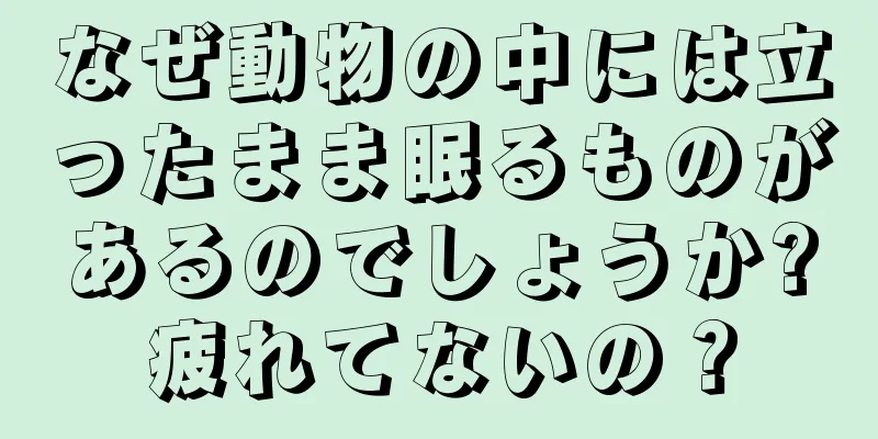 なぜ動物の中には立ったまま眠るものがあるのでしょうか?疲れてないの？