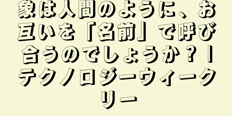 象は人間のように、お互いを「名前」で呼び合うのでしょうか？ |テクノロジーウィークリー