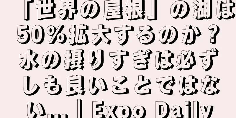 「世界の屋根」の湖は50％拡大するのか？水の摂りすぎは必ずしも良いことではない...｜Expo Daily