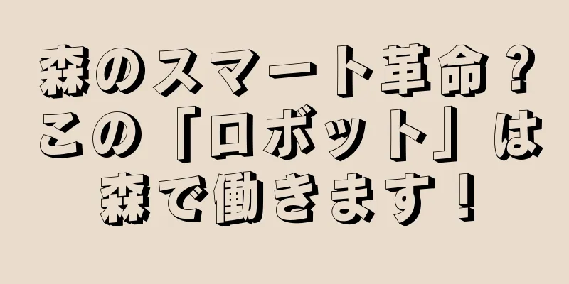 森のスマート革命？この「ロボット」は森で働きます！