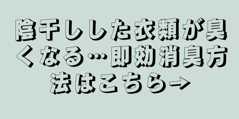 陰干しした衣類が臭くなる…即効消臭方法はこちら→