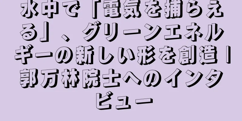 水中で「電気を捕らえる」、グリーンエネルギーの新しい形を創造 |郭万林院士へのインタビュー