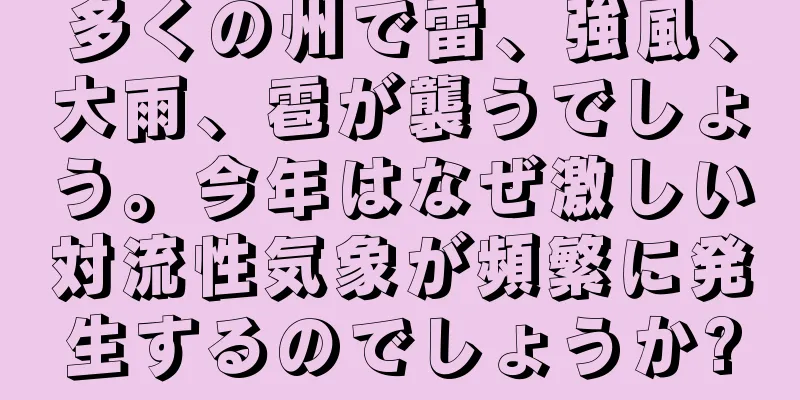 多くの州で雷、強風、大雨、雹が襲うでしょう。今年はなぜ激しい対流性気象が頻繁に発生するのでしょうか?