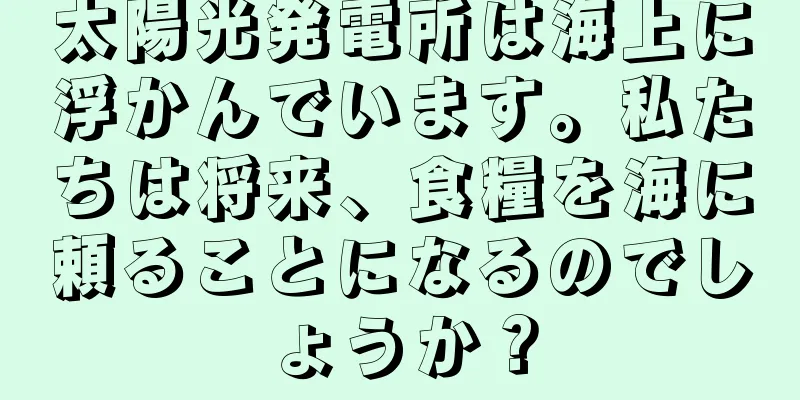 太陽光発電所は海上に浮かんでいます。私たちは将来、食糧を海に頼ることになるのでしょうか？
