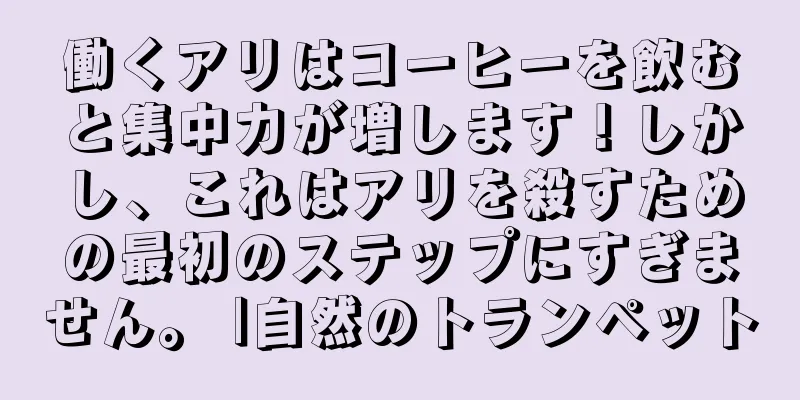 働くアリはコーヒーを飲むと集中力が増します！しかし、これはアリを殺すための最初のステップにすぎません。 |自然のトランペット