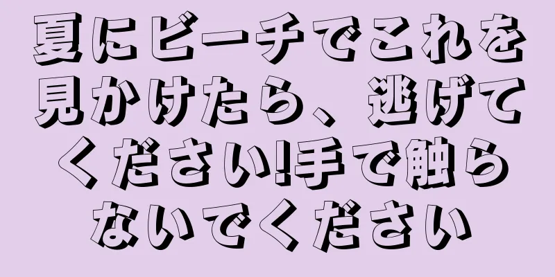 夏にビーチでこれを見かけたら、逃げてください!手で触らないでください