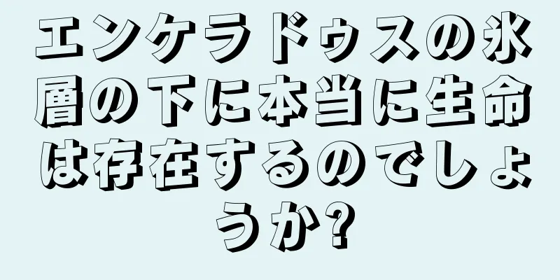 エンケラドゥスの氷層の下に本当に生命は存在するのでしょうか?