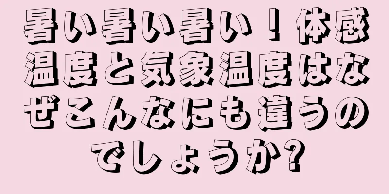 暑い暑い暑い！体感温度と気象温度はなぜこんなにも違うのでしょうか?