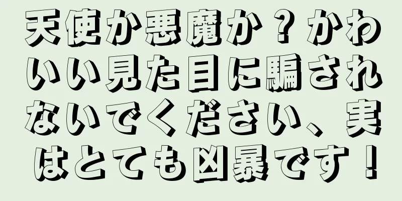 天使か悪魔か？かわいい見た目に騙されないでください、実はとても凶暴です！