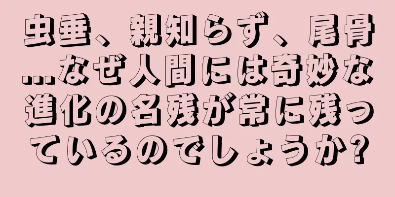 虫垂、親知らず、尾骨...なぜ人間には奇妙な進化の名残が常に残っているのでしょうか?