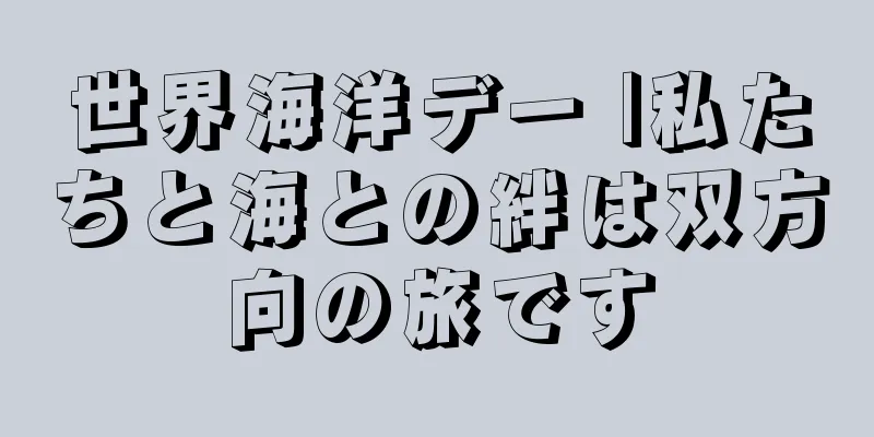 世界海洋デー |私たちと海との絆は双方向の旅です