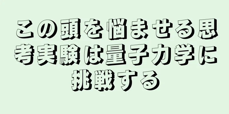 この頭を悩ませる思考実験は量子力学に挑戦する
