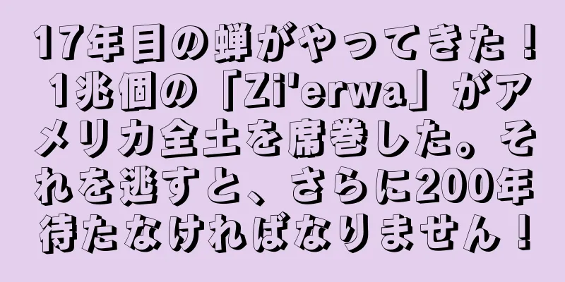 17年目の蝉がやってきた！ 1兆個の「Zi'erwa」がアメリカ全土を席巻した。それを逃すと、さらに200年待たなければなりません！