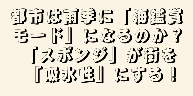 都市は雨季に「海鑑賞モード」になるのか？ 「スポンジ」が街を「吸水性」にする！