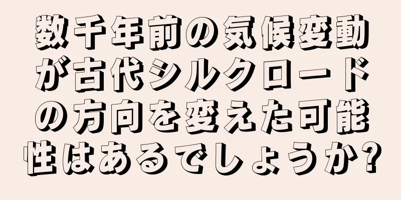 数千年前の気候変動が古代シルクロードの方向を変えた可能性はあるでしょうか?