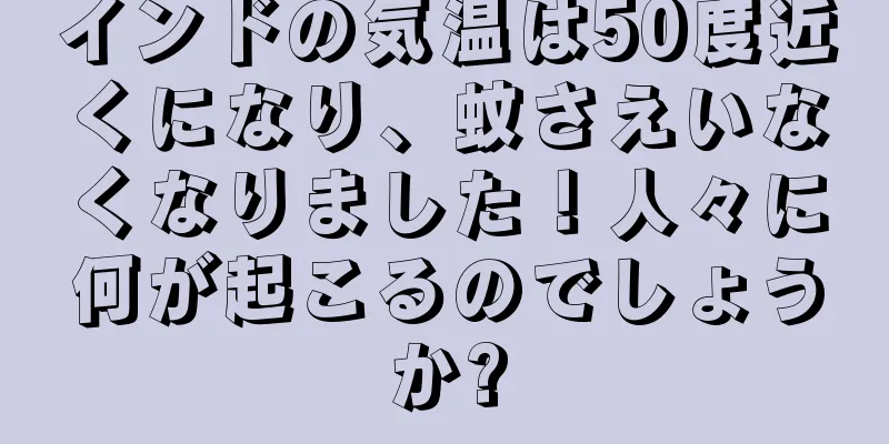 インドの気温は50度近くになり、蚊さえいなくなりました！人々に何が起こるのでしょうか?