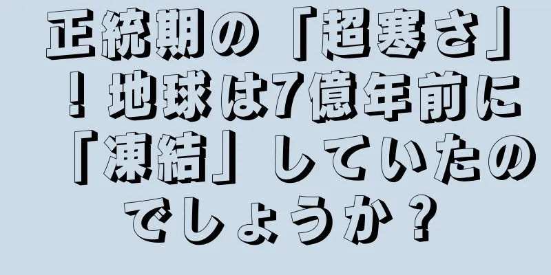 正統期の「超寒さ」！地球は7億年前に「凍結」していたのでしょうか？