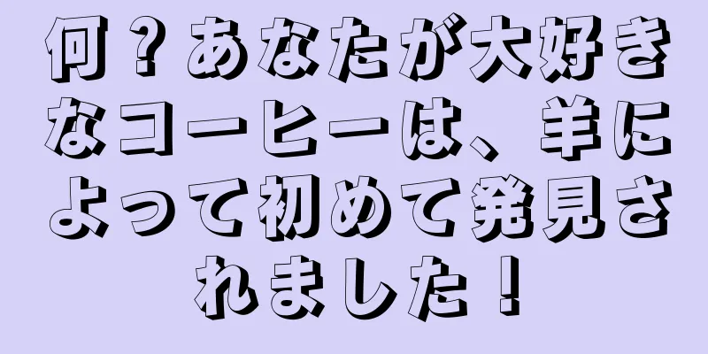 何？あなたが大好きなコーヒーは、羊によって初めて発見されました！