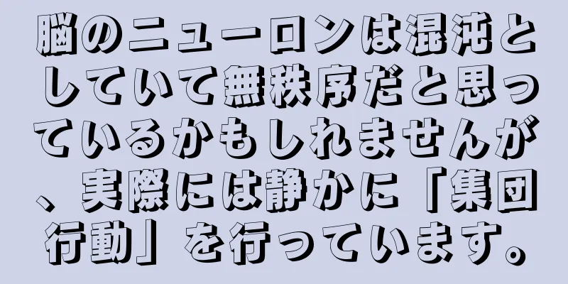 脳のニューロンは混沌としていて無秩序だと思っているかもしれませんが、実際には静かに「集団行動」を行っています。