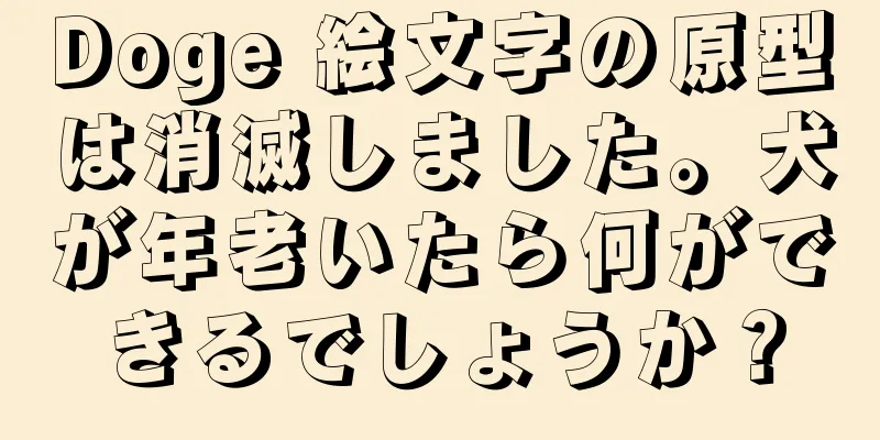 Doge 絵文字の原型は消滅しました。犬が年老いたら何ができるでしょうか？