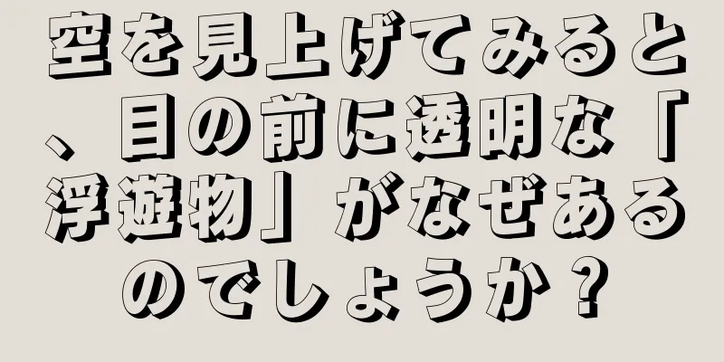空を見上げてみると、目の前に透明な「浮遊物」がなぜあるのでしょうか？