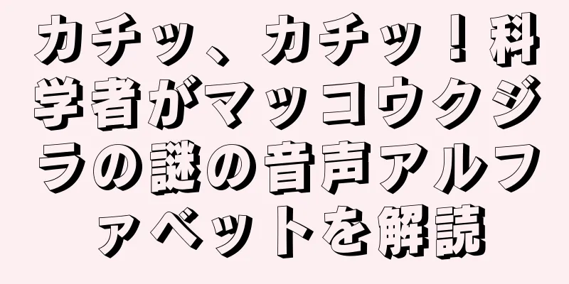カチッ、カチッ！科学者がマッコウクジラの謎の音声アルファベットを解読