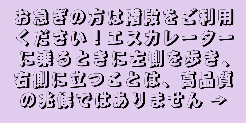 お急ぎの方は階段をご利用ください！エスカレーターに乗るときに左側を歩き、右側に立つことは、高品質の兆候ではありません →