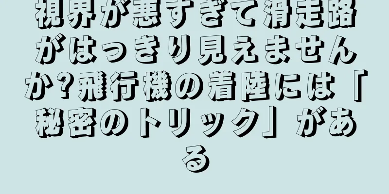 視界が悪すぎて滑走路がはっきり見えませんか?飛行機の着陸には「秘密のトリック」がある