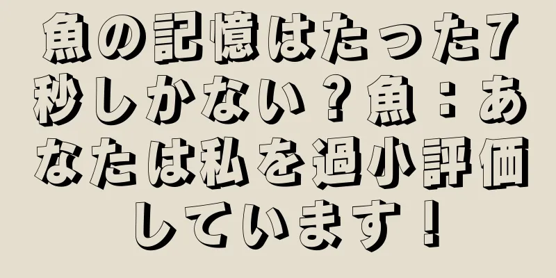 魚の記憶はたった7秒しかない？魚：あなたは私を過小評価しています！