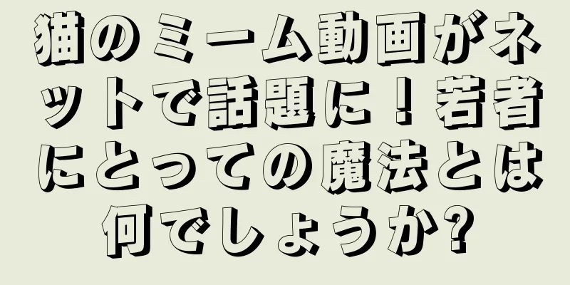猫のミーム動画がネットで話題に！若者にとっての魔法とは何でしょうか?