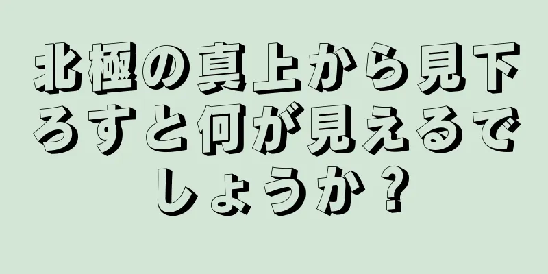 北極の真上から見下ろすと何が見えるでしょうか？
