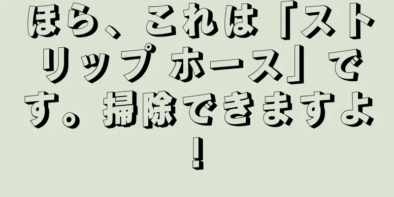 ほら、これは「ストリップ ホース」です。掃除できますよ!