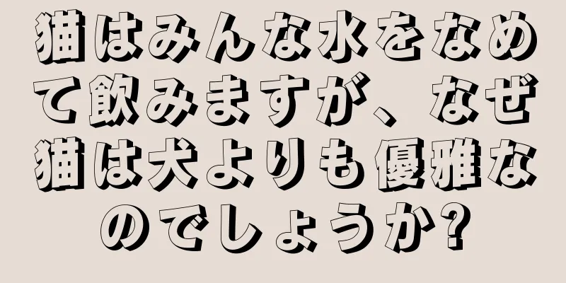猫はみんな水をなめて飲みますが、なぜ猫は犬よりも優雅なのでしょうか?
