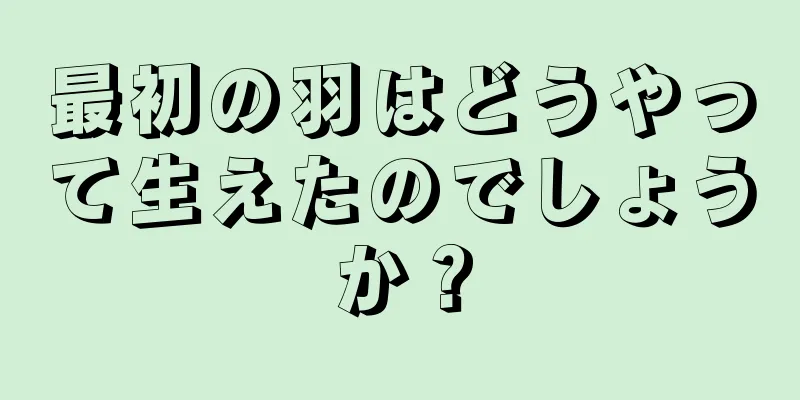 最初の羽はどうやって生えたのでしょうか？