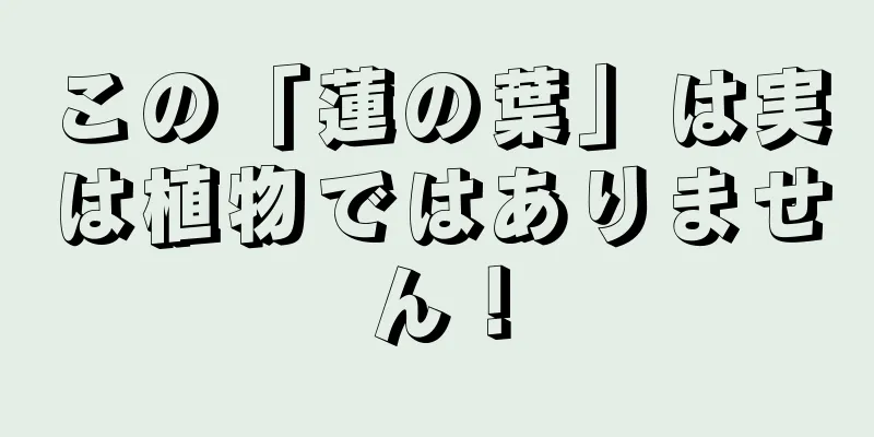 この「蓮の葉」は実は植物ではありません！