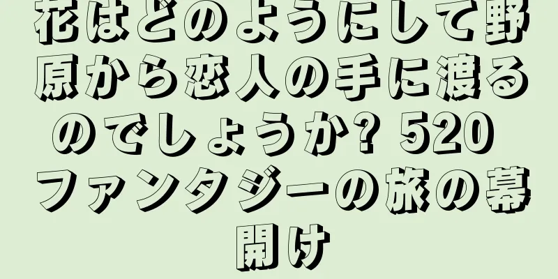 花はどのようにして野原から恋人の手に渡るのでしょうか? 520 ファンタジーの旅の幕開け