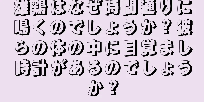 雄鶏はなぜ時間通りに鳴くのでしょうか？彼らの体の中に目覚まし時計があるのでしょうか？