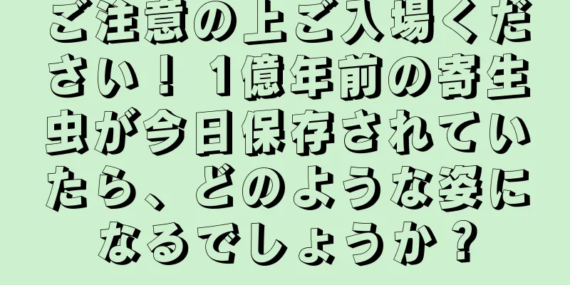 ご注意の上ご入場ください！ 1億年前の寄生虫が今日保存されていたら、どのような姿になるでしょうか？