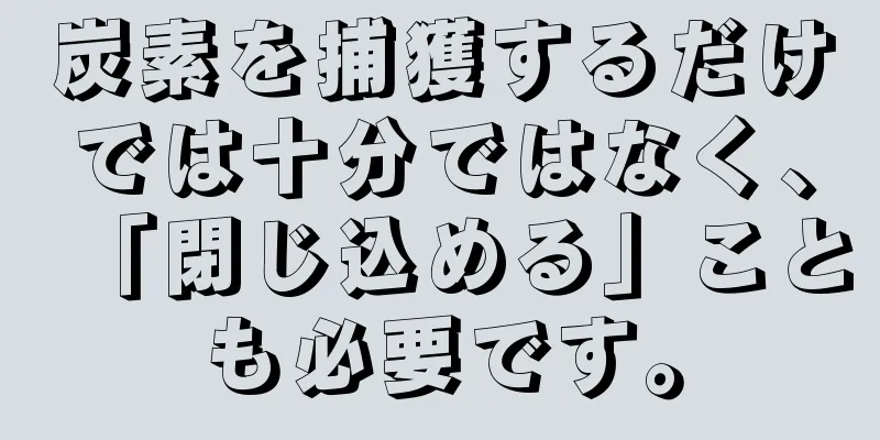 炭素を捕獲するだけでは十分ではなく、「閉じ込める」ことも必要です。