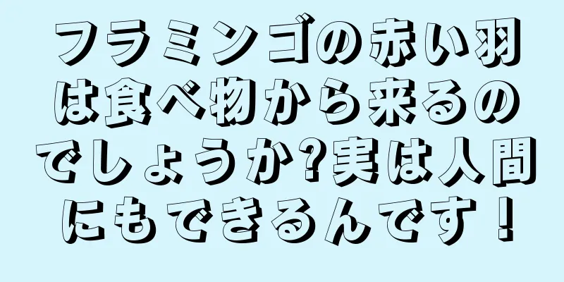 フラミンゴの赤い羽は食べ物から来るのでしょうか?実は人間にもできるんです！