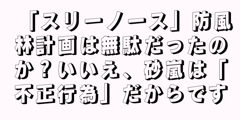 「スリーノース」防風林計画は無駄だったのか？いいえ、砂嵐は「不正行為」だからです