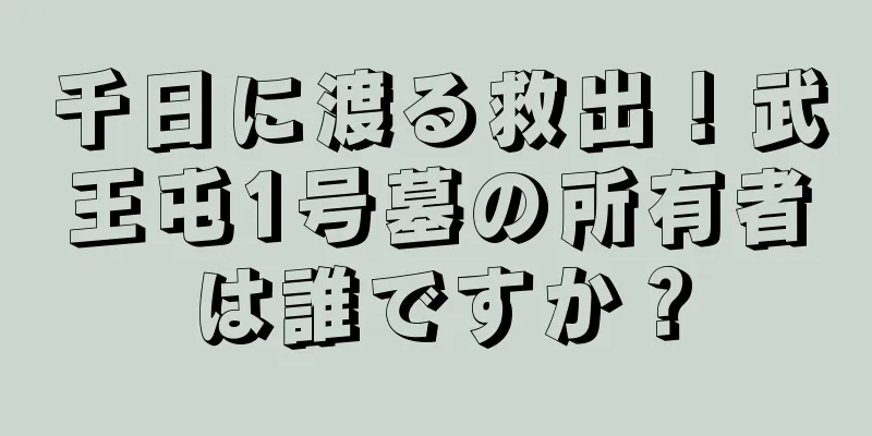 千日に渡る救出！武王屯1号墓の所有者は誰ですか？