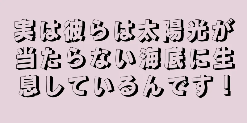 実は彼らは太陽光が当たらない海底に生息しているんです！