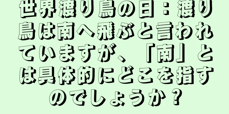世界渡り鳥の日：渡り鳥は南へ飛ぶと言われていますが、「南」とは具体的にどこを指すのでしょうか？
